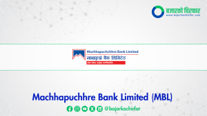 माछापुच्छ्रे बैंकको ८ हजार २६८ कित्ता संस्थापक सेयर विक्रीमा