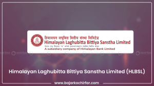 हिमालयन लघुवित्तले आर्थिक वर्ष २०८०-८१ को नाफाबाट लाभांश नदिने