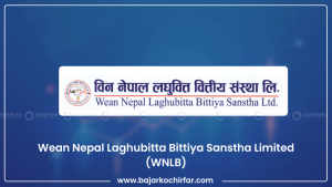 यस पटक पनि विन नेपाल लघुवित्तका सेयरधनीहरूको हात खाली नै रहने