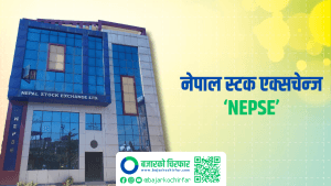नेप्सेको ओरालो यात्रा जारी