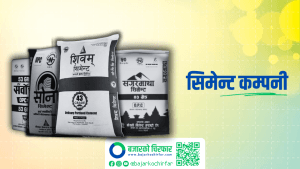 गत आर्थिक वर्षको नाफाबाट कुन सिमेन्ट कम्पनीले कति लाभांश दिए ?
