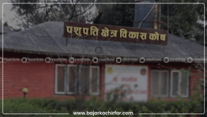 पशुपति क्षेत्र विकास कोषले तिलगङ्गा आवास क्षेत्रका संरचना हटाउने