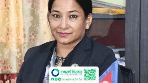६ महानगरमध्ये भरतपुरको बेरुजु सबैभन्दा कम