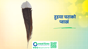 चराको प्वाँख २८ हजार डलरमा बिक्यो