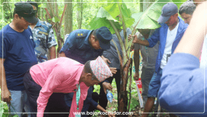 वन्यजन्तुको आहारका लागि सामुदायिक वनमा दश हजार बिरुवा रोपिए
