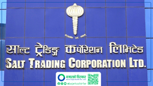 बाजुरामा नुनको अभाव छैनः साल्ट ट्रेडिङ