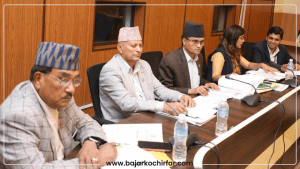 सहकारी छानबिनको लागी राजनीतिक दलहरूसँग सुझाव माग्ने समितिको निर्णय