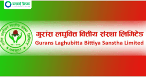 गुराँस लघुवित्तको नाफा बढ्यो