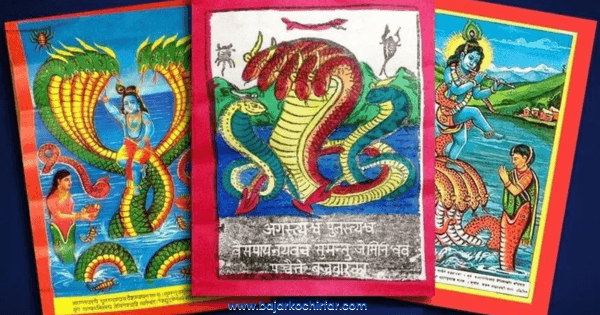 आज घर घरमा नाग पूजा गरि नागपञ्चमी मनाइँदै