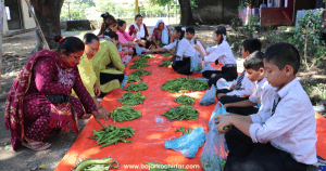 पढाइ र कमाइ सँगसँगै: विद्यालयको करेसामा मेहनत गर्ने विद्यार्थीको कथा