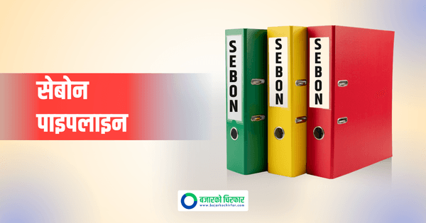 दुई कम्पनीले आईपीओ निष्काशनको अनुमति माग्दै धितोपत्र बोर्डमा दिए आवेदन, कुनको कति कित्ता ?