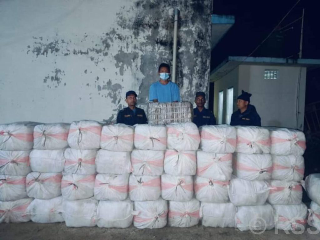 १७ क्विन्टल गाँजासहित टिपर चालक पक्राउ