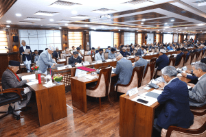 राष्ट्रिय विकास समस्या समाधान समितिको ५३औं बैठक सिंहदरबारमा