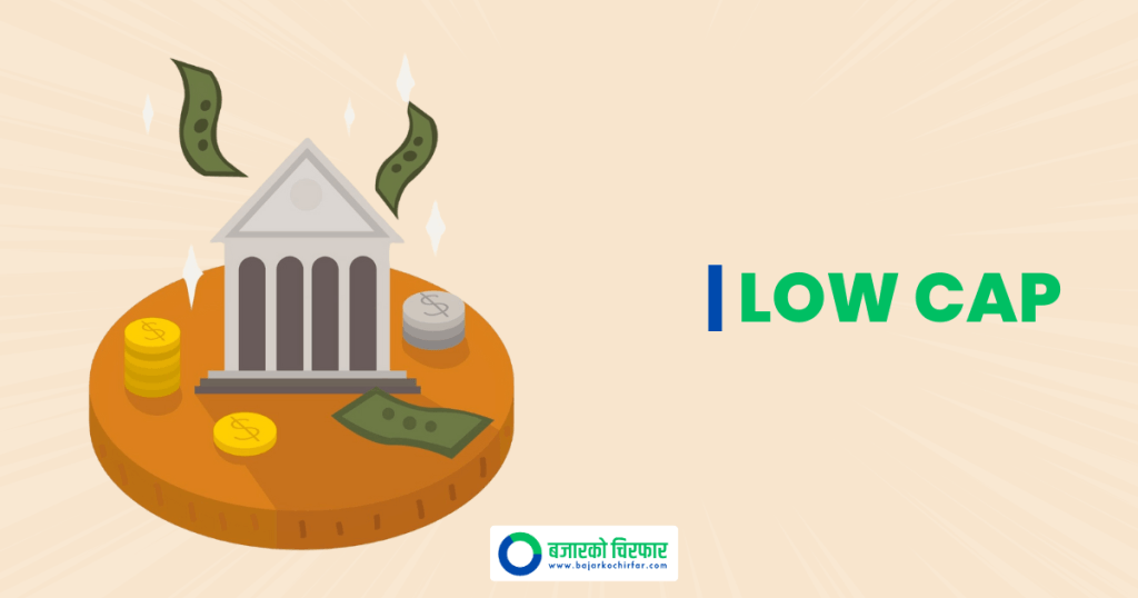 सेयर सप्लाई कम भएका (लो क्याप) विकास बैंकहरु