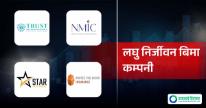 पुससम्म माइक्रो नन् लाईफ इन्स्योरेन्सको व्यापार ४२ करोड, कसको कति?