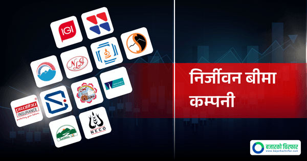 कस्तो पर्यो Gen Z आन्दोलनको निर्जीवन बीमा कम्पनीमा प्रभाव, यस्तो छ प्रारम्भिक रिपोर्ट