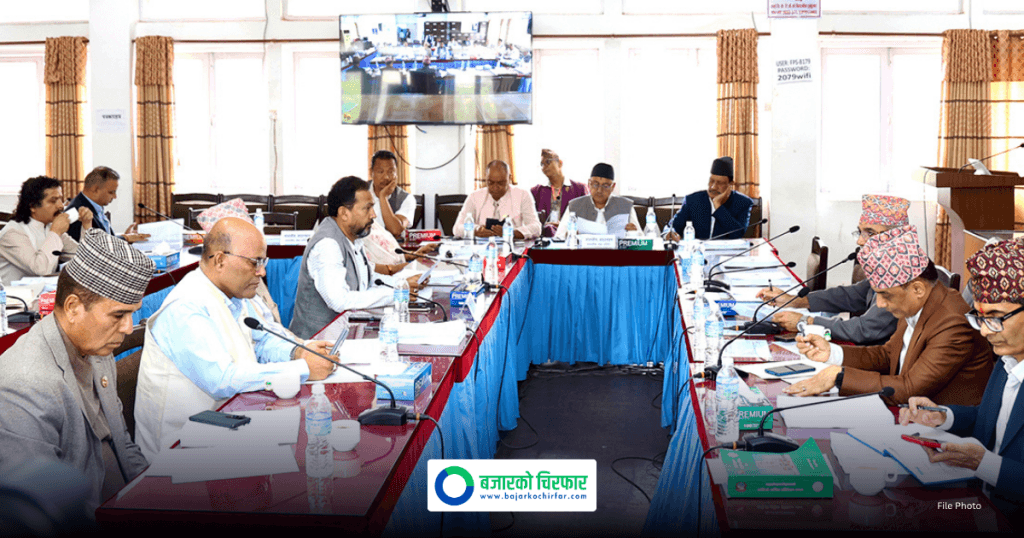 जगदुल्ला हाइड्रोपावरसँग सम्झौता अघि नबढाउन निर्देशन सहित यस्ता छन् सार्वजनिक लेखा समितिका अन्य निर्णयहरु