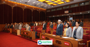 निजामती विधेयकमा संशोधनका लागि ४३ सांसदको प्रस्ताव