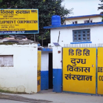 डीडीसीले साउनभित्र काठमाडौंमा ३० वटा नयाँ बिक्री केन्द्र खोल्ने, चाँडै अनलाइन होम डेलिभरी पनि