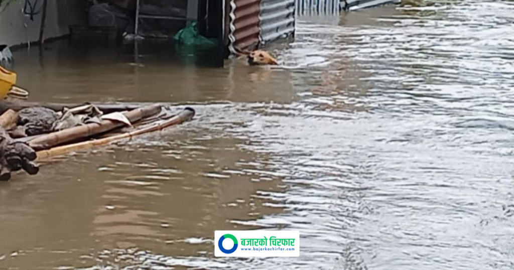 नेप्सेमा सूचीकृत कुन कुन हाइड्रोपावर कम्पनीका आयोजनामा पुग्यो क्षति ?