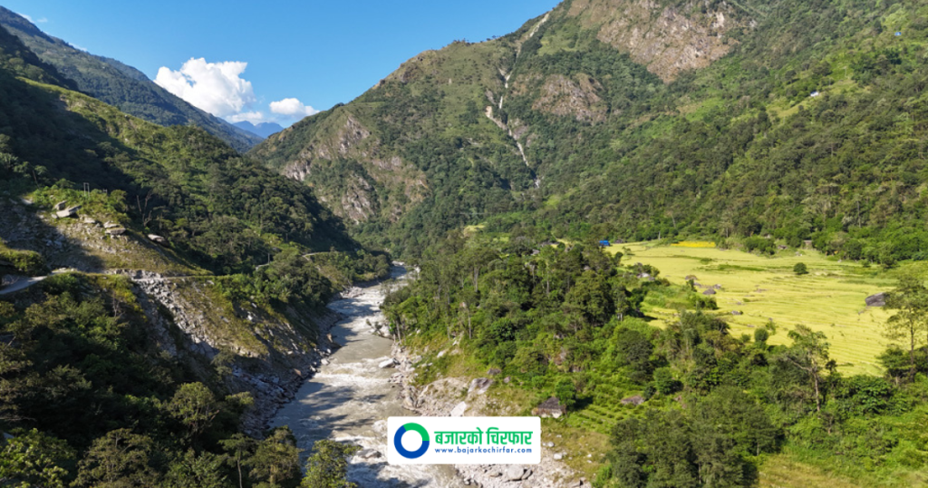 माथिल्लो अरुण आयोजना निर्माणका लागि २ हजार बढी रुख काटियो