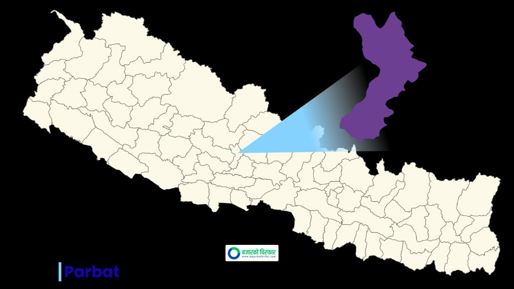 पर्वतमा १३ दलका उम्मेदवार चुनावी मैदानमा: मतदाताको मुख्य माग, ‘बाँदर आतङ्क र भ्रष्टाचार नियन्त्रण गर’