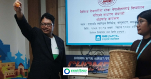 बेनी हाइड्रोपावर प्रोजेक्टको आईपीओ बाँडफाँड सम्पन्न