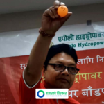 एपोलो हाइड्रोपावरको आईपीओ बाँडफाँड सम्पन्न, कसरी हेर्ने नतिजा ?