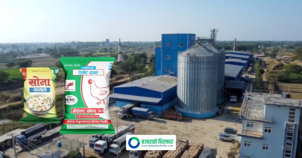 उत्पादनदेखि लगानीसम्म: ग्राहकलाई सेयरधनी बनाएर अघि बढ्न खोज्दै डल्फिन ग्रुप