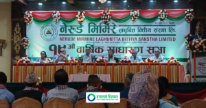 नेरुडे मिर्मिरे लघुवित्तको १९औँ वार्षिक साधारण सभा सम्पन्न, केके प्रस्ताव भए पारित ?