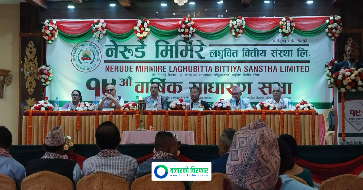 नेरुडे मिर्मिरे लघुवित्तको १९औँ वार्षिक साधारण सभा सम्पन्न, केके प्रस्ताव भए पारित ?