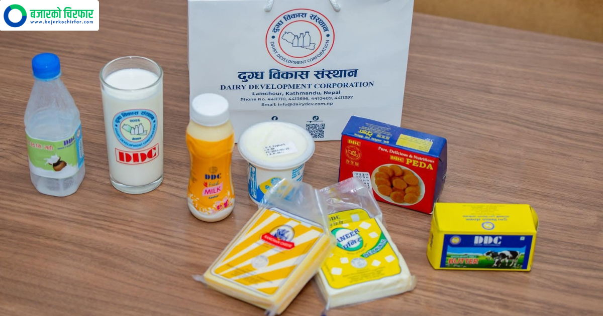 डीडीसीको आक्रामक बजारीकरणले बढायो आम्दानी, कृषक भुक्तानीको दूरी ७ महिनाबाट २–३ महिनामा झारियो