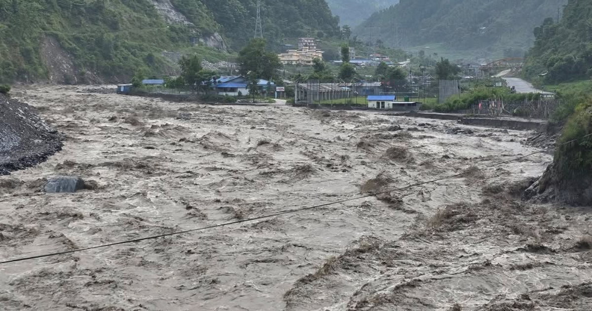 रसुवामा बाढीबारे विद्युत् प्राधिकरणले के भन्यो ?