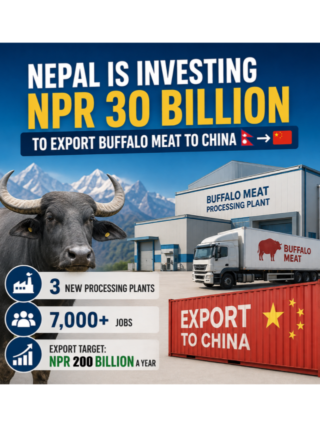 Nepal’s NPR 30 Billion Buffalo Meat Project Targets China