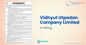 विद्युत उत्पादन कम्पनीमा सीईओ पदका लागि आवेदन खुला